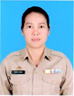 ไม่พบรูป